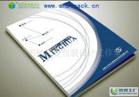 專業(yè)平面設(shè)計(jì)服務(wù)覆蓋廣州荔灣、白云、增城、南沙，助力企業(yè)畫(huà)冊(cè)設(shè)計(jì)